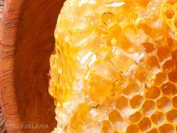 Medus un bišu maize Medus un bišu maize - MM.LV