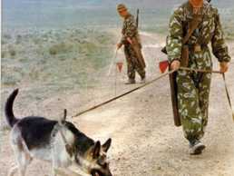 Масхалат - MM.LV