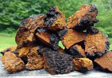 Chaga Chaga - MM.LV