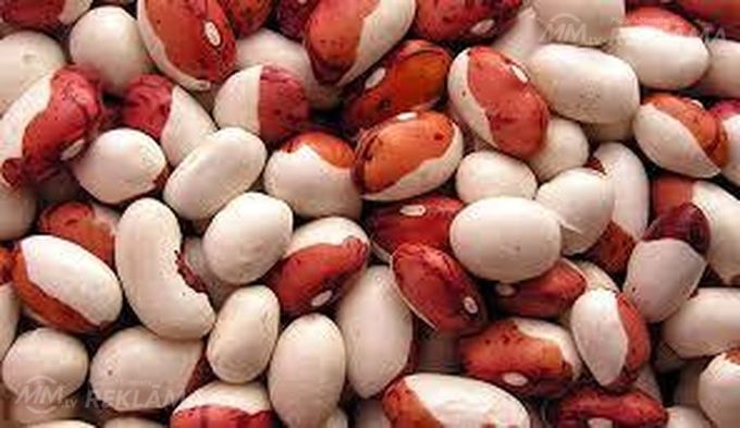 Sell beans wholesale - MM.LV