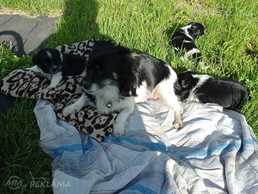 Продаю - MM.LV