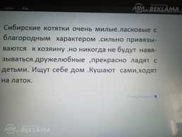 Продаю Продаю - MM.LV