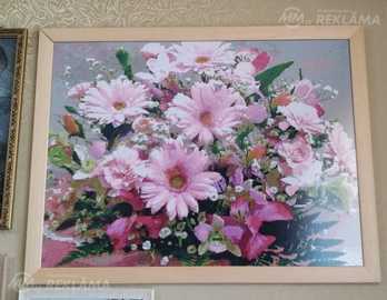 Gerberas Gerberas - MM.LV