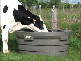 Superbac Oval Pasture drinking bowl Superbac Oval Pasture drinking bowl - MM.LV