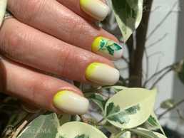Manicure-Pedicure Manicure-Pedicure - MM.LV
