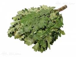 Ozola pirts slota - MM.LV