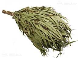 Eikaliptu pirts slota - MM.LV