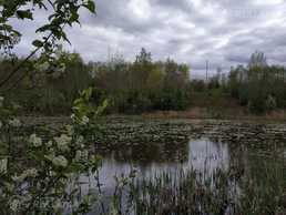 Земельный участок в Тукумсе. - MM.LV