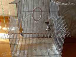 Клетка - MM.LV