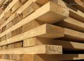 Looking for partners - Timber of the 1st grade at a price of 1 - MM.LV - 1