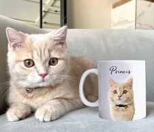 Krūze ar jūsu mājdzīvnieku - MM.LV