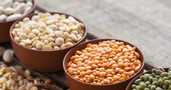 Supplies of beans from Ukraine - MM.LV - 1
