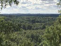 Līdz 20000Eur/ha. Maksimāli augstas cenas Visā Latvijā par Mežu - MM.LV