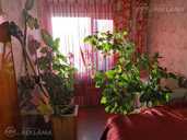 Apartment in Bauska and district, 79,8 м², 3 rm., 1 floor. - MM.LV