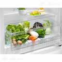 Продаю в отличном состоянии годовалый холодильник без морозилки - MM.LV - 4