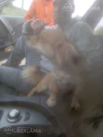 Meklēju nopietnu sievieti - MM.LV