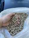 Wood pellets and Firewood for heating and fuel - MM.LV - 2