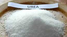 Urea 46% Urea 46% - MM.LV