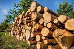 Apaugumu Un Meza Zemju Attirisana - MM.LV