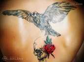 Tetovēšanas pakalpojumi - MM.LV