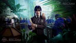 Квесты. Игры. dj. - MM.LV