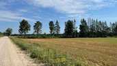 Land property in Riga district, Pabazi. - MM.LV