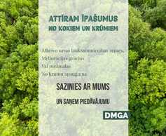 Attīram īpašumus no koku un krūmu apauguma - MM.LV