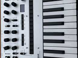 Pārdodu Korg Monologue Pārdodu Korg Monologue - MM.LV