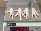 Processed Frozen Chicken Feet & Paws Grade A - MM.LV