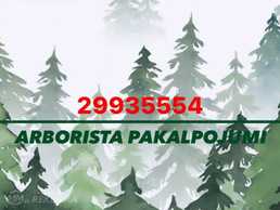 !Arborista pakalpojumi! - MM.LV