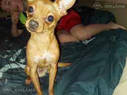 Ищем подругу - MM.LV