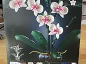 Набор lego Орхидея 10311 - MM.LV