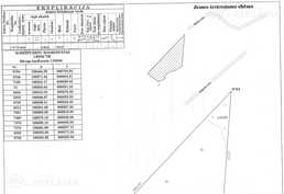 Mežs Krāslavas pilsētā - MM.LV