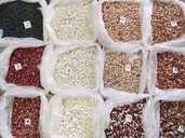 Beans from Ukraine. Various varieties in assortment - MM.LV
