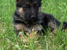 Продажа - MM.LV