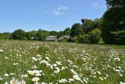 Дом в Лимбажи и район, 350 м², 1 эт., 6 комн.. - MM.LV