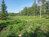 Land property in Riga district, Ropazi. - MM.LV