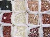 We sell commercial beans. Delivery from Ukraine - MM.LV
