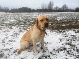 Meklē mājas - MM.LV