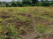 Land property in Limbazi and district. - MM.LV