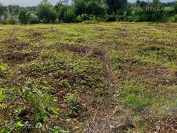 Land property in Limbazi and district. Land property in Limbazi and district. - MM.LV