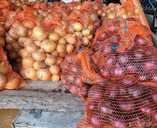Biloģiski auzdzēti kartupeļi Vineta (25-30kg maiss) - MM.LV - 2