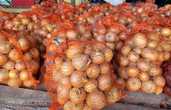Biloģiski auzdzēti kartupeļi Vineta (25-30kg maiss) - MM.LV - 3
