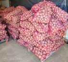 Biloģiski auzdzēti kartupeļi Vineta (25-30kg maiss) - MM.LV - 4