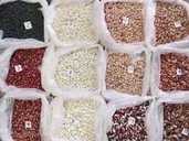 Sale of new crop beans - MM.LV - 1