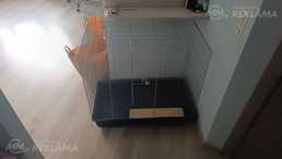 Būris šinšillai vai citiem grauzējiem - MM.LV