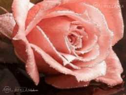 Квартира в Елгаве, 45 м², 2 комн.. - MM.LV