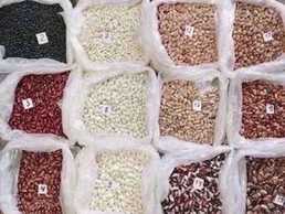 Beans from the fields of Ukraine. Beans from the fields of Ukraine. - MM.LV