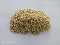 Corn germ Corn germ - MM.LV