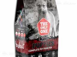 Alpha Spirit Puppies Alpha Spirit Puppies - MM.LV